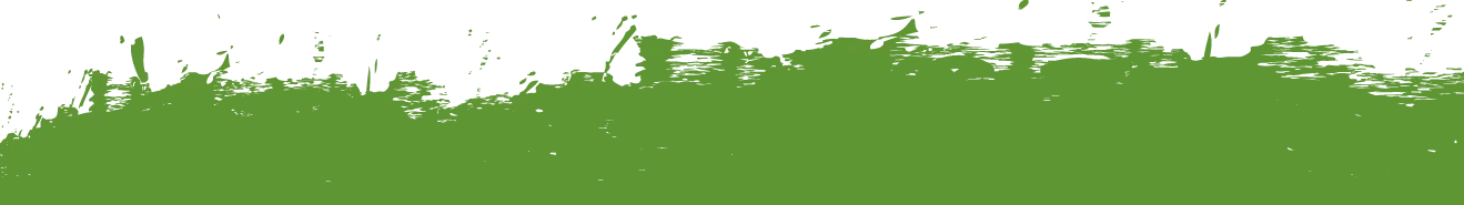 Green graphic stroke with a rough, textured edge design