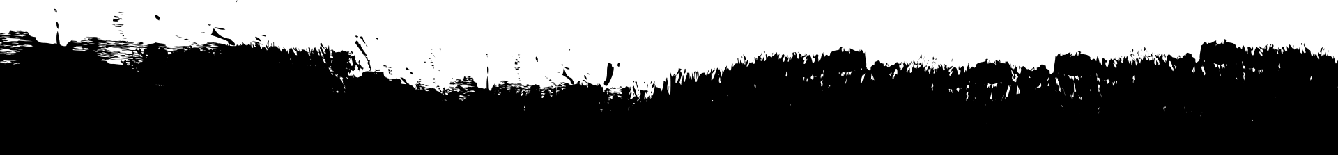 Black Separator Graphic